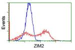 ZIM2 Antibody in Flow Cytometry (Flow)