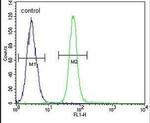 ZMYND10 Antibody in Flow Cytometry (Flow)