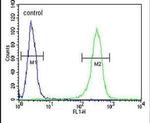 ZNF473 Antibody in Flow Cytometry (Flow)