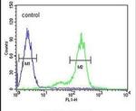 ZNF572 Antibody in Flow Cytometry (Flow)