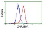 ZNF280A Antibody in Flow Cytometry (Flow)
