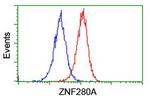 ZNF280A Antibody in Flow Cytometry (Flow)