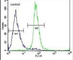ZNF324B Antibody in Flow Cytometry (Flow)
