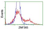 ZNF365 Antibody in Flow Cytometry (Flow)