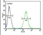 ZNF667 Antibody in Flow Cytometry (Flow)