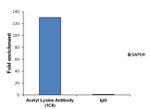 Acetylated Lysine Antibody in ChIP Assay (ChIP)