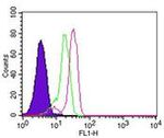 Caspase 14 Antibody in Flow Cytometry (Flow)