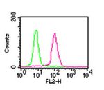 NFkB p65 Antibody in Flow Cytometry (Flow)