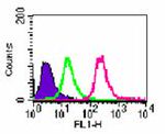 Rabbit IgG Isotype Control in Flow Cytometry (Flow)