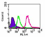 Rabbit IgG Isotype Control in Flow Cytometry (Flow)