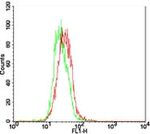 TLR7 Antibody in Flow Cytometry (Flow)