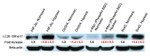 beta Actin Loading Control Antibody in Western Blot (WB)