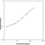 Human IL-23 ELISA Kit