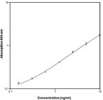 Human Caspase 8/FLICE ELISA Kit