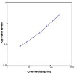 Monkey IL-12 p70 ELISA Kit
