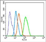 Cytochrome C Antibody in Flow Cytometry (Flow)