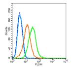 Tyrosine Hydroxylase Antibody in Flow Cytometry (Flow)