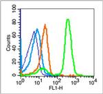 beta Amyloid 1-42 Antibody in Flow Cytometry (Flow)