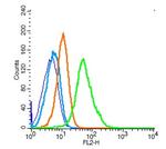 CD19 Antibody in Flow Cytometry (Flow)