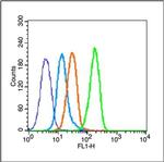 Tau protein Antibody in Flow Cytometry (Flow)