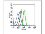 p75 NGF Receptor Antibody in Flow Cytometry (Flow)