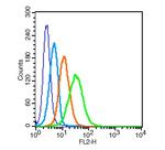 CD31 Antibody in Flow Cytometry (Flow)