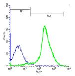 TSHR Antibody in Flow Cytometry (Flow)