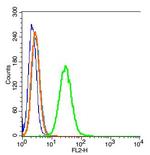 Tubulin-beta Antibody in Flow Cytometry (Flow)