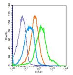 IGF1R Antibody in Flow Cytometry (Flow)