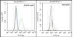 PDGFRA Antibody in Flow Cytometry (Flow)