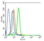 Integrin beta 3 Antibody in Flow Cytometry (Flow)