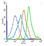 Histone H3 Antibody in Flow Cytometry (Flow)
