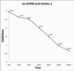 Deltex 1 Antibody in ELISA (ELISA)