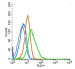 CD44 Antibody in Flow Cytometry (Flow)