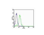 SOX2 Antibody in Flow Cytometry (Flow)