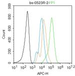 SOX2 Antibody in Flow Cytometry (Flow)