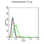 CD10 Antibody in Flow Cytometry (Flow)