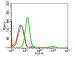 CD10 Antibody in Flow Cytometry (Flow)