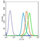CDK1 Antibody in Flow Cytometry (Flow)