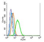 Mfn1 Antibody in Flow Cytometry (Flow)