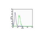 Cyclin E Antibody in Flow Cytometry (Flow)