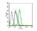 Survivin Antibody in Flow Cytometry (Flow)