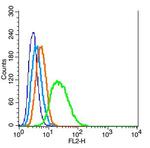 Cyclin D1 Antibody in Flow Cytometry (Flow)