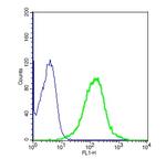 Aquaporin 4 Antibody in Flow Cytometry (Flow)