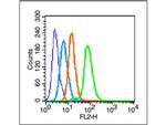 c-Jun Antibody in Flow Cytometry (Flow)