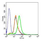 PEPT1 Antibody in Flow Cytometry (Flow)