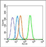 Estrogen Receptor alpha Antibody in Flow Cytometry (Flow)