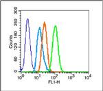 HSP27 Antibody in Flow Cytometry (Flow)