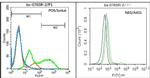 CD3 epsilon Antibody in Flow Cytometry (Flow)