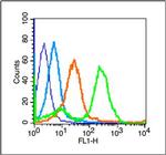 beta Amyloid 31-35 Antibody in Flow Cytometry (Flow)